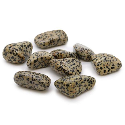 XL Tumble Stones - Dalmation Stone - Luxe Crystals MK